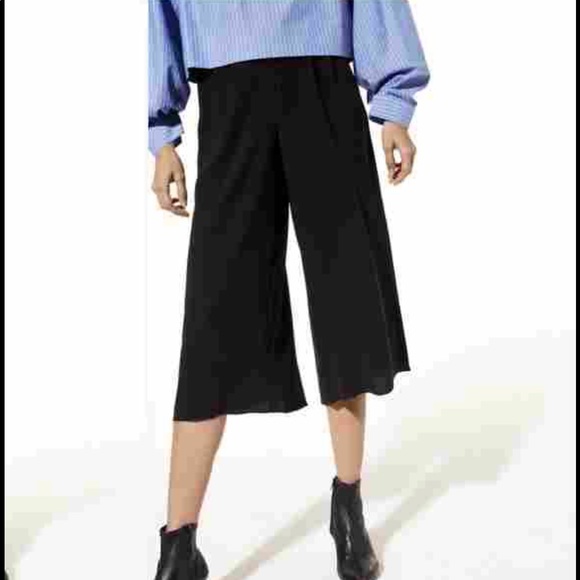 Aritzia Lazarus Culotte Pant - Picture 6 of 7